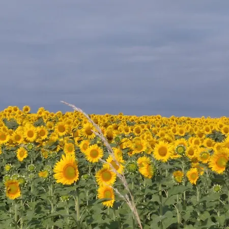 Jolie Maison A La Campagne Rétaud