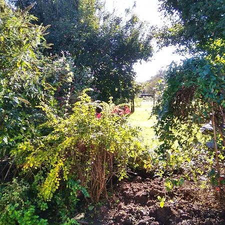 Jolie Maison A La Campagne Rétaud